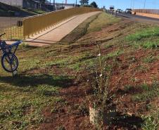 Serviços de roçada na PRC-466 em Guarapuava