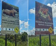 Novas placas e painéis da BR-487 na Parque Nacional Ilha Grande