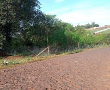 PR-574 entre Cafelândia e Palmitópolis