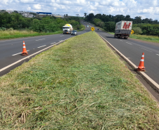 Veículos em rodovias