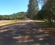 Lote 01 - PRC-446 em Bituruna