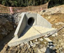 Passa-faunas nos acessos da Ponte de Guaratuba