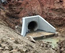 Passa-faunas nos acessos da Ponte de Guaratuba