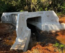 Ponte sobre o Rio das Antas em Grandes Rios