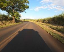 PR-092 entre Andirá e Santo Antônio da Platina