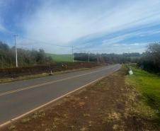 PRC-466 entre Turvo e Palmeirinha