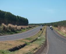 Rodovias do Lote 5 entre Maringá e Mamborê