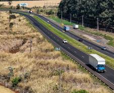 BR-369 em Rolândia