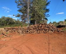 PRC-466 material lenhoso depositado na faixa de domínio