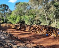 PRC-466 material lenhoso depositado na faixa de domínio