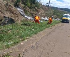 PR-170 em Guarapuava