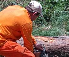 PR-170 em Guarapuava