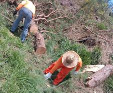 PR-170 em Guarapuava