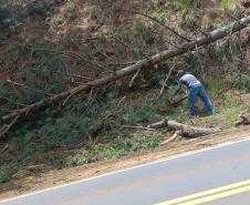 PR-170 em Guarapuava