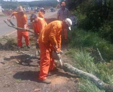 PR-170 em Guarapuava