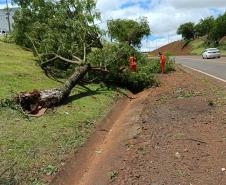 PRC-158 em Rio Bonito do Iguaçu