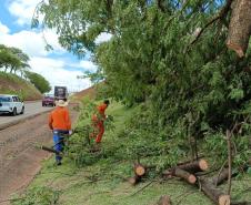 PRC-158 em Rio Bonito do Iguaçu