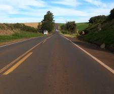 PRC-466 entre Manoel Ribas e Pitanga