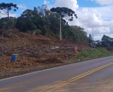 PRC-466 entre Turvo e Palmeirinha