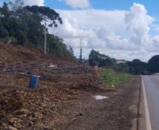 PRC-466 entre Turvo e Palmeirinha