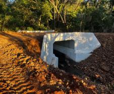 Construção de ponte em Grandes Rios