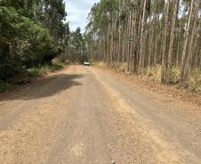 PR-436 em Ibaiti, trecho que será pavimentado