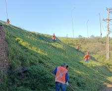 Serviços de roçada próximo a pista