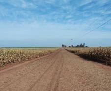 Estrada de ligação entre Mamborê e o distrito Guarani