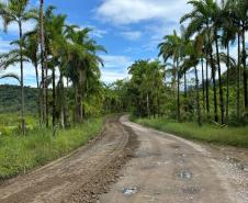 PR-405 Estrada de Guaraqueçaba recebendo serviços de conservação