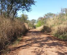 PR-462 trecho não-pavimentada entre Iretama e Barbosa Ferraz