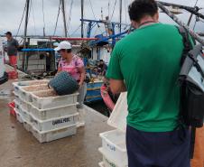 Acompanhamento técnico da atividade pesqueira na Baía de Guaratuba
