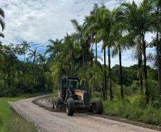 Conservação NPV na Estrada de Guaraqueçaba (PR-405)