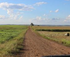 Janiópolis - Estrada São Domingos