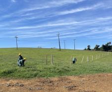 PR-160 serviços iniciais da pavimentação remanescente entre Imbaú e Reserva