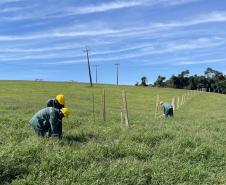 PR-160 serviços iniciais da pavimentação remanescente entre Imbaú e Reserva