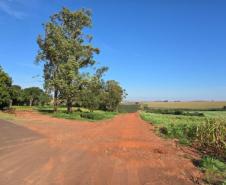 Estrada Barro Preto em Francisco Alves