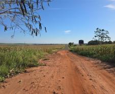 Estrada Barro Preto em Francisco Alves