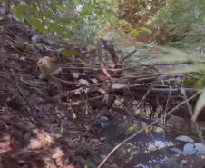 Ponte sobre o córrego Genúncia em Floraí - córrego