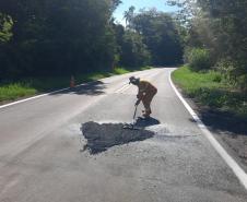 PR-431 entre Cambará, Jacarezinho e Ribeirão Claro