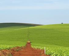 PR-916 Contorno Noroeste de Pato Branco lote 2 - serviços iniciais