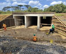 PRC-466 duplicação entre Turvo e Palmeirinha