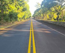 PR-317 em Santa Helena