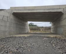 PR-364 pavimentação e viaduto em Irati