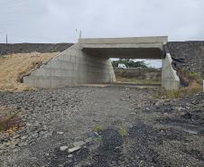 PR-364 pavimentação e viaduto em Irati