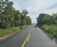 PR-442 e PR-443 entre Uraí e Rancho Alegre