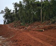 PR-460 e PRC-487 whitetopping Pitanga Nova Tebas - terraplenagem