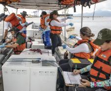 A equipe de Meio Ambiente dos Portos do Paraná foi a campo para mais uma campanha de monitoramento trimestral. A coleta de dados foi simultânea para três programas ambientais: da qualidade das águas, do sedimento e da biota aquática (plâncton e bentos).  Foto: Claudio Neves/APPA