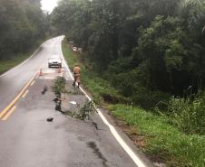 Interdição da PR-340 entre Tibagi e Telêmaco Borba, por conta de um desmoronamento de terra na tarde de sábado (16)  -  Curitiba, 17/03/2019  -  Foto: Divulgação DER