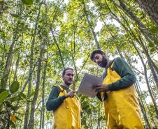 Os seis manguezais no entorno dos portos de Paranaguá e Antonina são monitorados regularmente. Neste ano, foram quatro atividades de atenção e cuidado voltadas ao ecossistema. Ao longo desta semana, uma equipe de técnicos dos Portos do Paraná trabalhará na análise dos dados coletados.  -  Paranaguá, 25/03/2019  -  Foto: Claudio Neves/ Administração dos Portos do Paraná