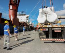 Todos os dias, em média, cerca de mil pessoas chegam para trabalhar no Porto de Paranaguá. São funcionários da empresa pública, servidores das empresas operadoras portuárias, motoristas, prestadores de serviços e trabalhadores portuários avulsos, os chamados TPAs.  -  Paranaguá, 30/04/2019  -  Foto: Claudio Neves/APPA